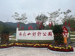 -马峦山郊野公园