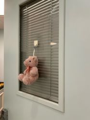 -杭州贝瑞斯美华妇儿医院·早孕·产检·儿科