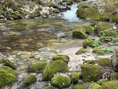 -少华山国家森林公园