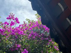 -成都杜甫草堂博物馆