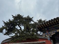 -五台山风景名胜区