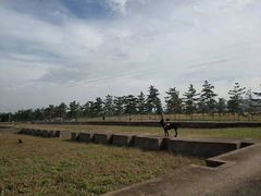 -汉长安城未央宫国家考古遗址公园