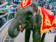 -大连森林动物园