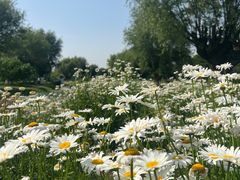 -汉长安城未央宫国家考古遗址公园