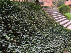 -上海衡山路十二号华邑酒店
