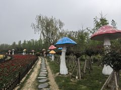 -荷兰花海