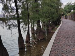 -东莞市虎英郊野公园