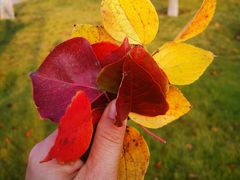 -济南国际园博园