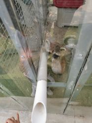 -萌宠亲子动物乐园(槐房万达店)