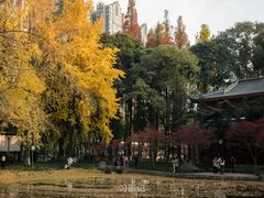 -温江公园