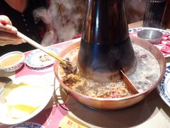 -东镇老火锅(长春路首店)