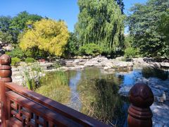 -莲花池公园