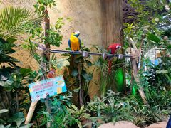 -杭州开元森泊度假乐园