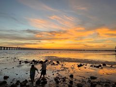 -宝安西湾红树林湿地公园