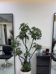 -V7 HAIR SALON