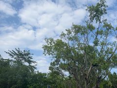 -西双版纳傣族园