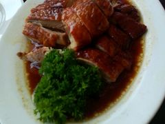 -云中小雅