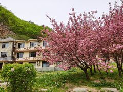 -大连冰峪旅游度假区