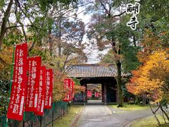 -醍醐寺