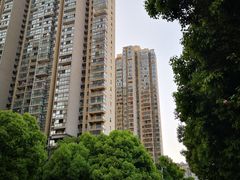 -天鹅湖体育公园