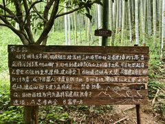 -东明山森林公园