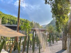 -MOJ coffee(瓯海泽雅水碓坑店)