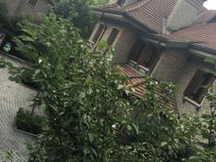 -星巴克臻选(思南公馆店)