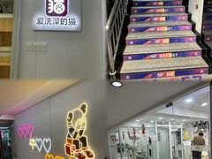 -爱洗澡的猫(天河路店)