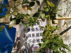 -边渡咖啡烘焙店(昙华林店)