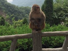 -云台山风景名胜区