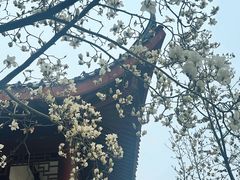 -堤角公园