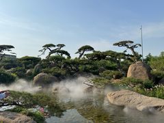 -罗红摄影艺术馆