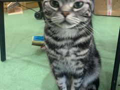 -藦茜花园宠物主题亲子互动体验馆(国顺东路店)