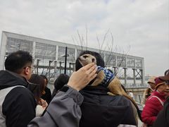 -亚马逊蒸汽活海鲜自助(LCM置汇旭辉广场店)