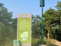 -梧桐山风景名胜区