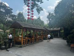 -青城甲(青城山店)