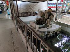 -佛都笑农庄(清溪店)