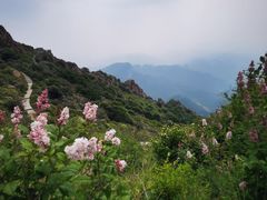 -白草畔自然风景区