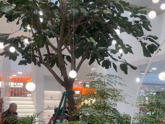 -大树餐厅(红旗街万达店)