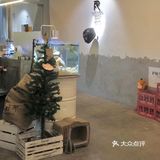 RF   超好出片的工业风奶茶店