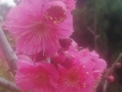 -南通博物苑-崇川人民公园