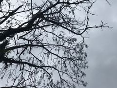 -南华禅寺