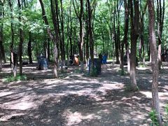 -亲兄弟真人CS团建拓展基地
