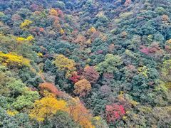 -燕子河大峡谷天坑仙境