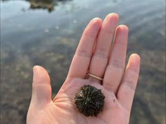 -石槽海滨浴场