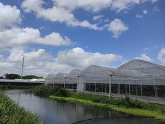 -马陆小张葡萄园农家乐