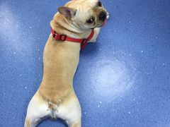 -宠颐生动物医院·心脏科·保险定点(锦阳分院)