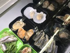 -蚝专家