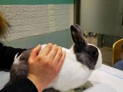 -雨林宠物医院 非犬猫异宠专科