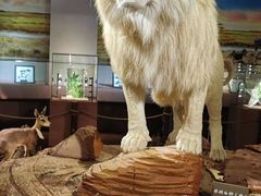 -陕西自然博物馆